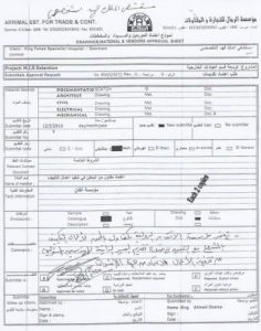 685b6fe79783f9447cba18c93d0523254c9b5481